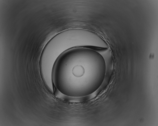 X0000089920099200707131419