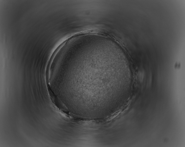 X0000089920100200707131419