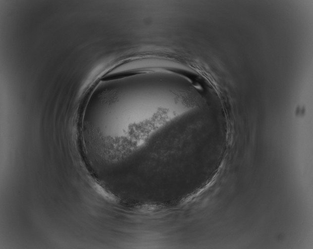 X0000089920101200707131419