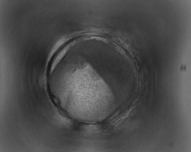 X0000089920102200707131419