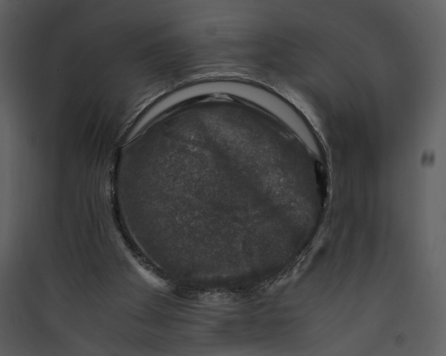 X0000089920105200707131419