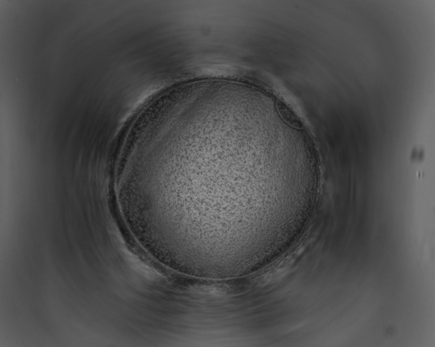 X0000089920106200707131419