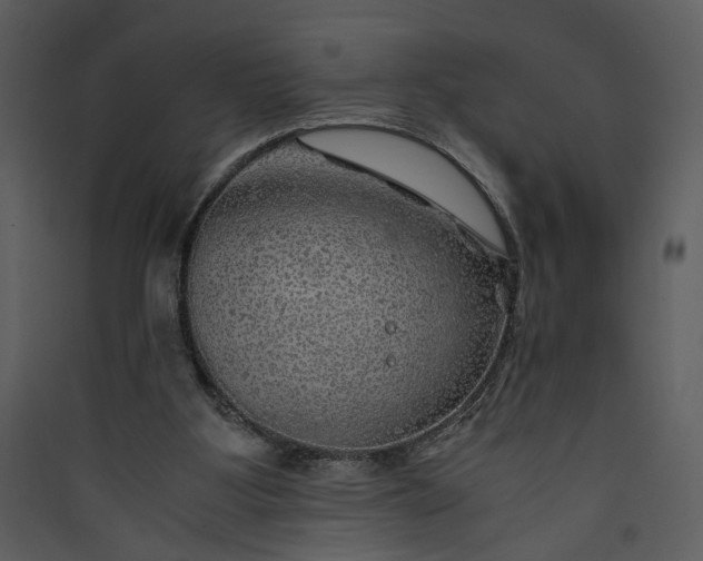X0000089920107200707131419
