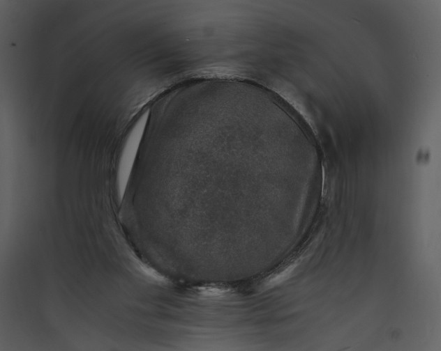 X0000089920109200707131419