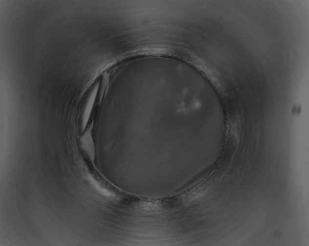 X0000089920110200707131419