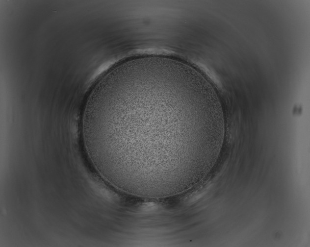 X0000089920111200707131419