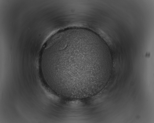 X0000089920112200707131419
