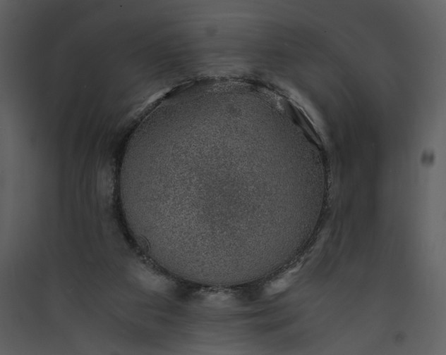 X0000089920113200707131419
