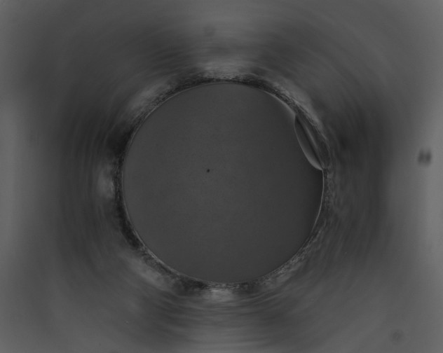 X0000089920114200707131419