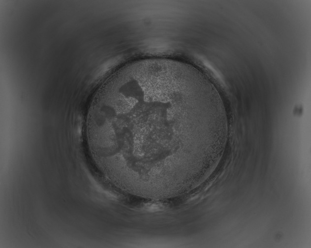 X0000089920115200707131419
