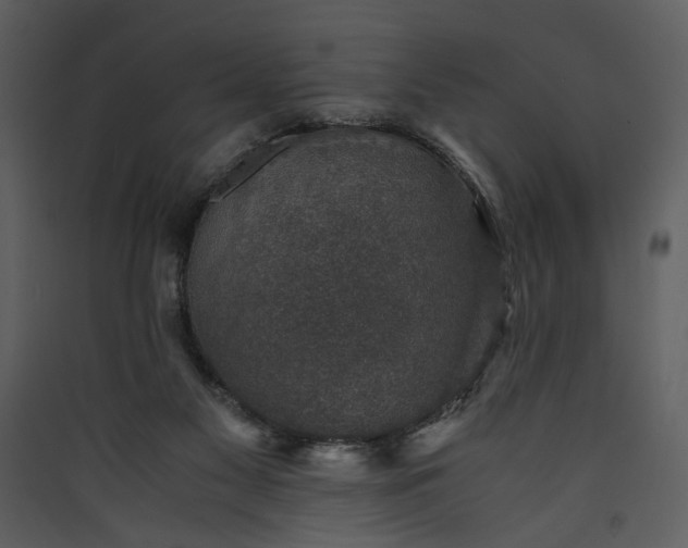 X0000089920117200707131419
