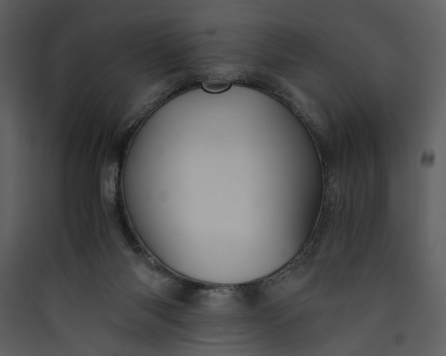 X0000089920118200707131419
