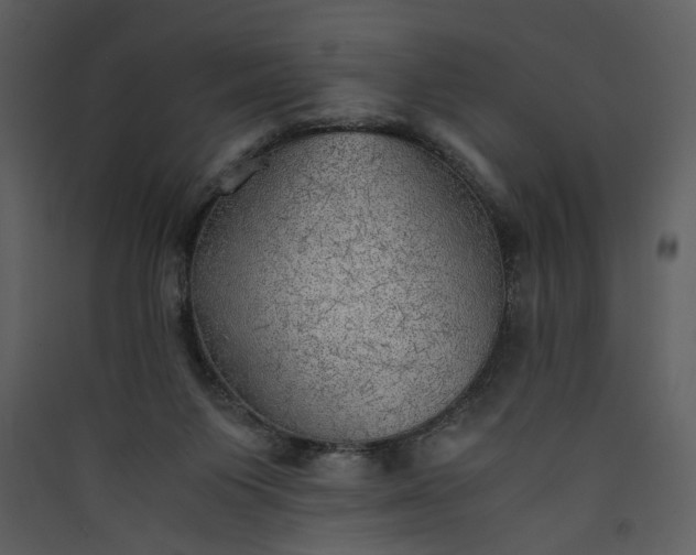 X0000089920119200707131419