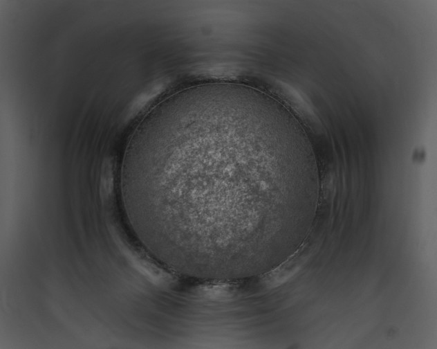 X0000089920120200707131419
