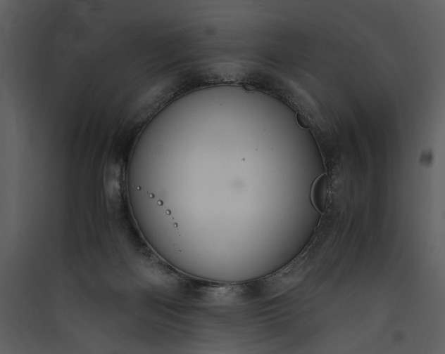 X0000089920122200707131419