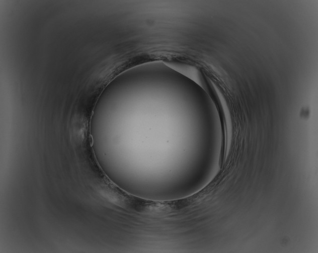 X0000089920125200707131419