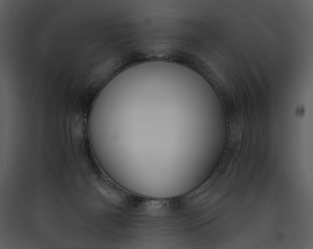 X0000089920126200707131419