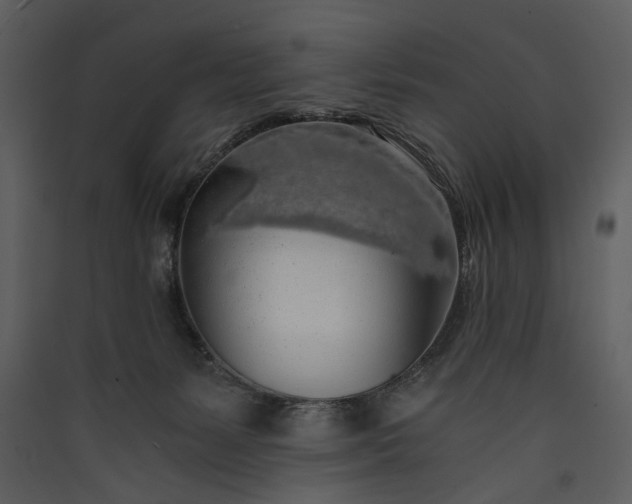 X0000089920127200707131419