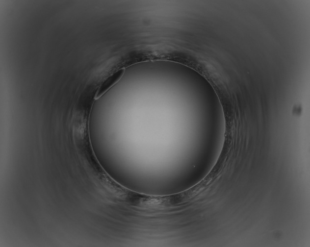 X0000089920129200707131419