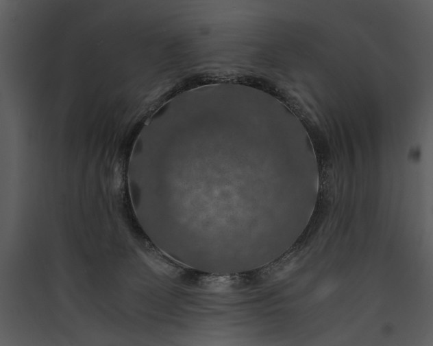 X0000089920131200707131419