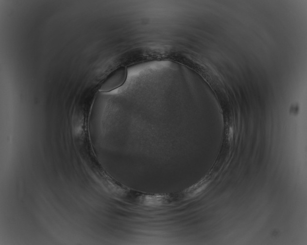 X0000089920134200707131419