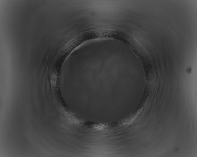 X0000089920139200707131419