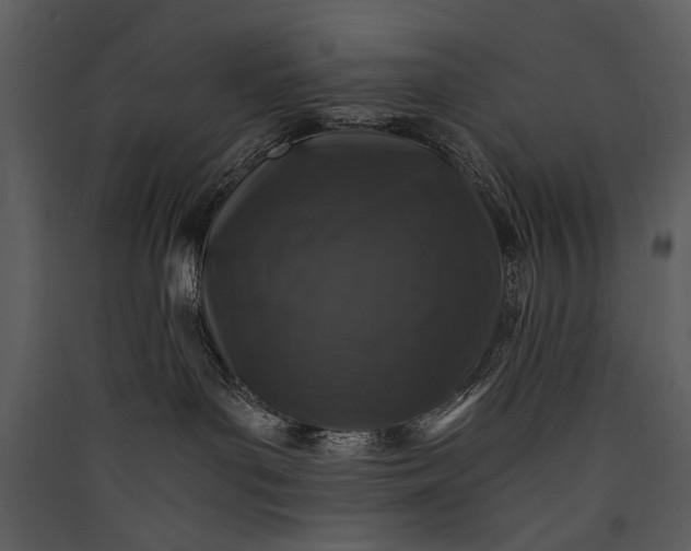 X0000089920143200707131419