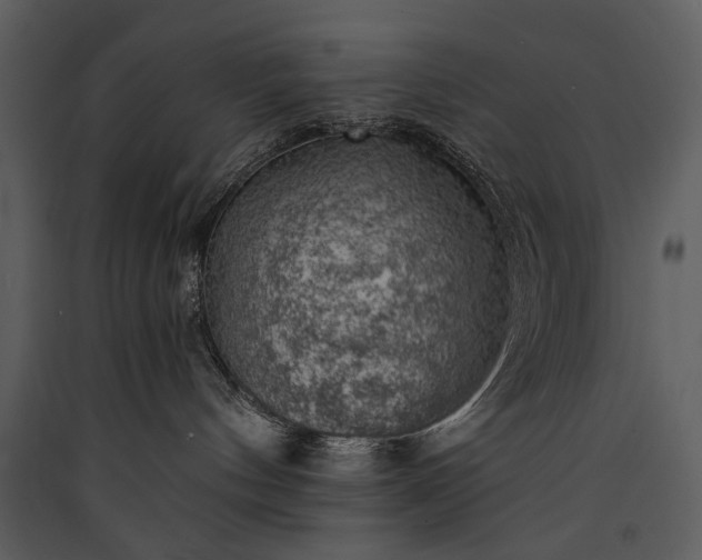 X0000089920144200707131419