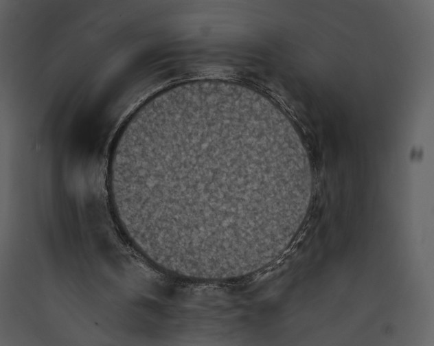 X0000089920146200707131418