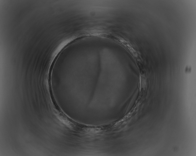 X0000089920147200707131418