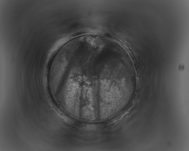 X0000089920149200707131418
