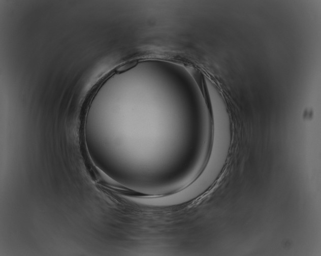 X0000089920150200707131418