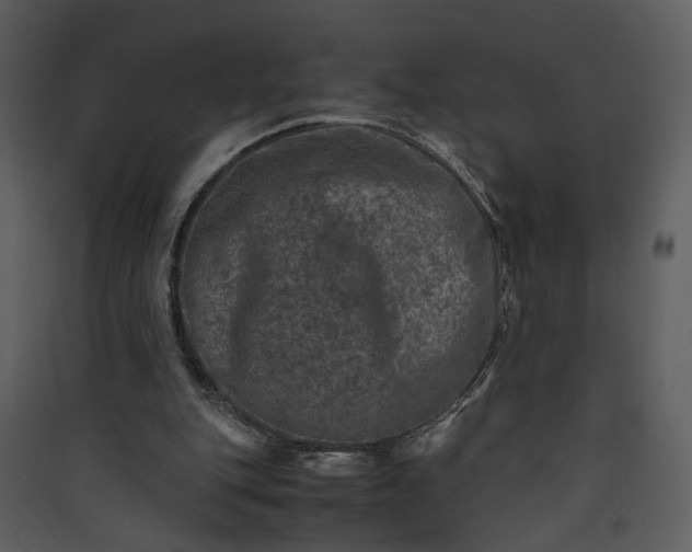 X0000089920151200707131418