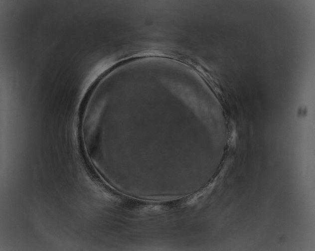 X0000089920152200707131418