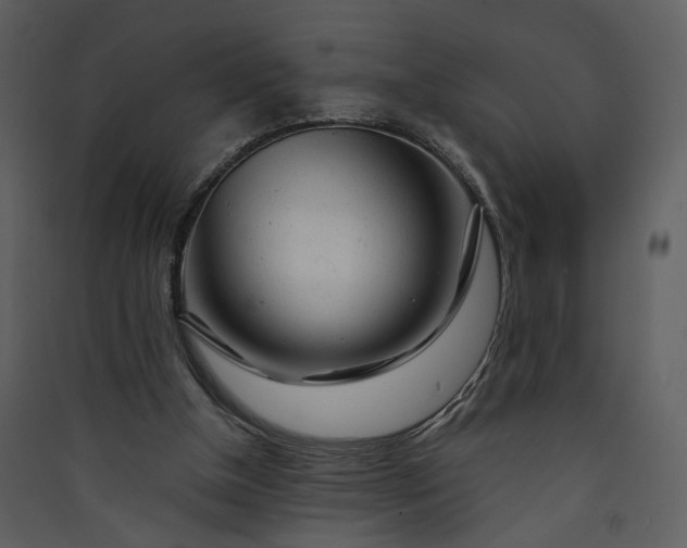 X0000089920154200707131418