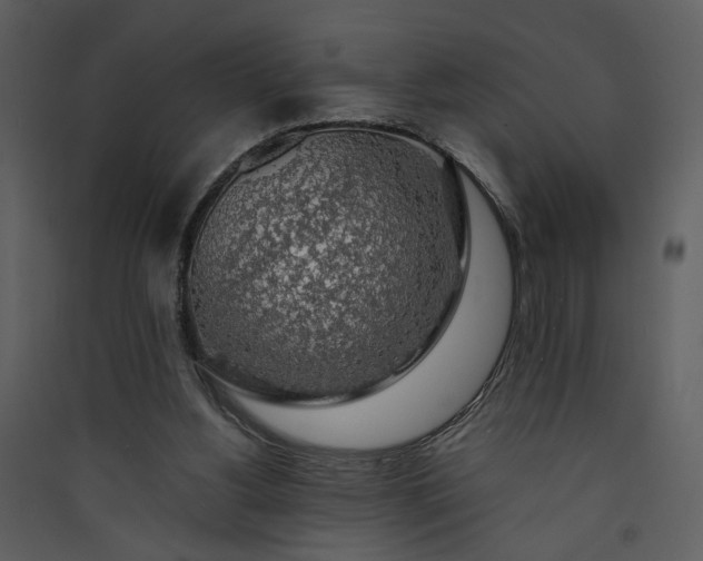 X0000089920156200707131418