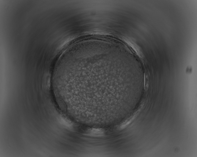 X0000089920157200707131418