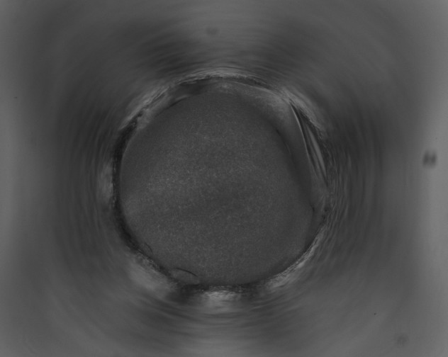 X0000089920158200707131418