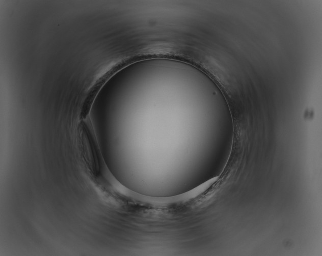 X0000089920160200707131418