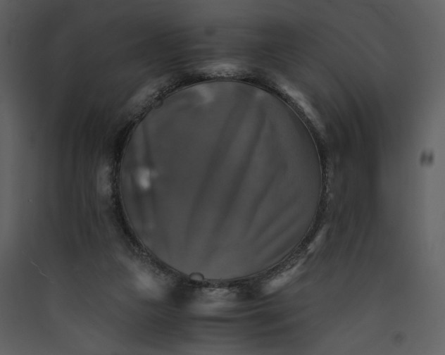 X0000089920161200707131418