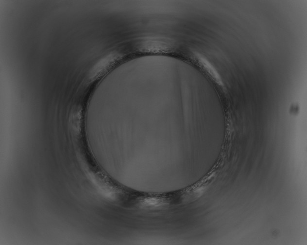 X0000089920163200707131418