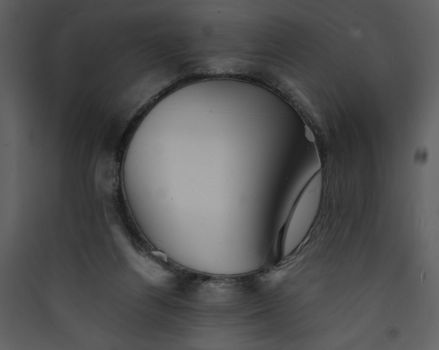 X0000089920164200707131418