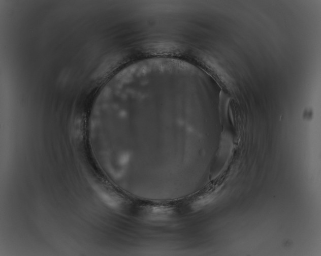 X0000089920165200707131418