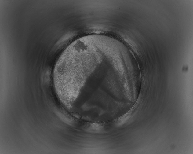X0000089920166200707131418