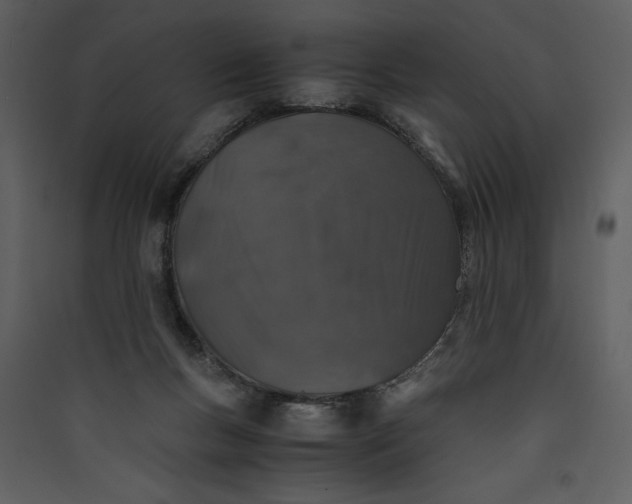X0000089920167200707131418
