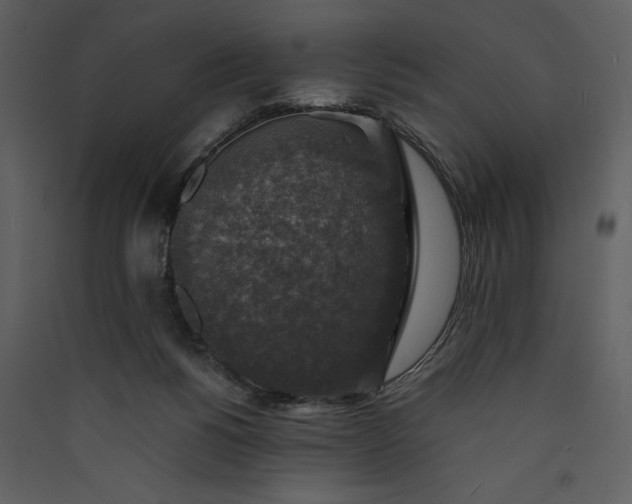 X0000089920168200707131418