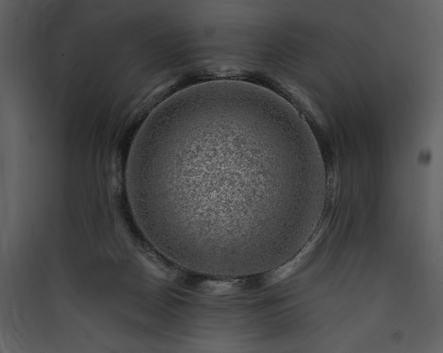 X0000089920170200707131418