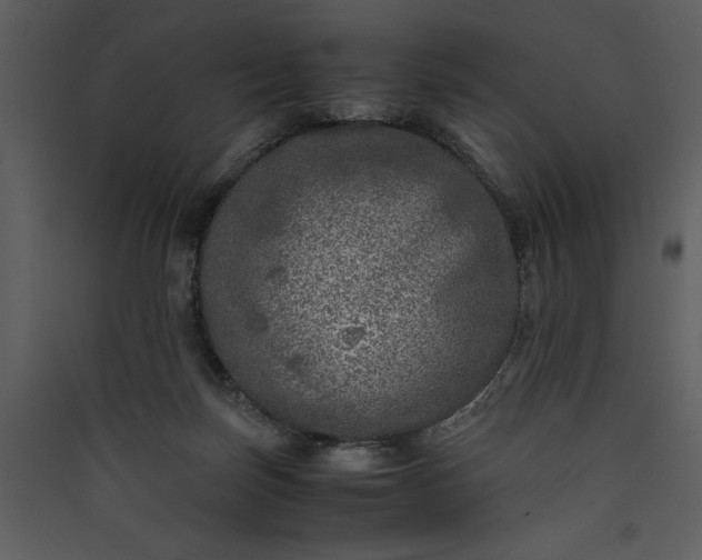 X0000089920171200707131418