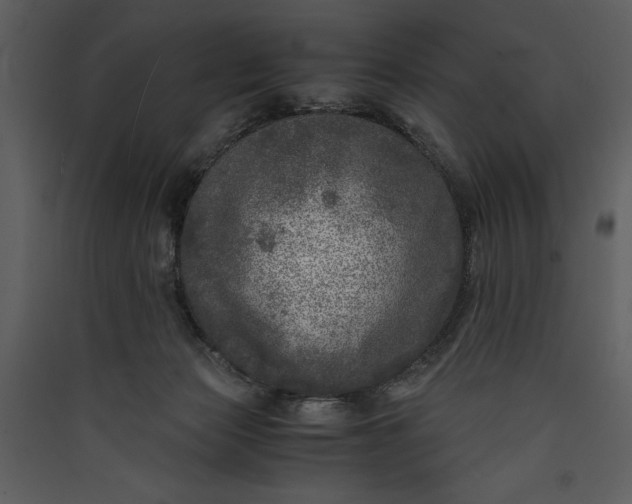X0000089920173200707131418