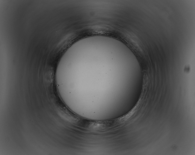 X0000089920174200707131418